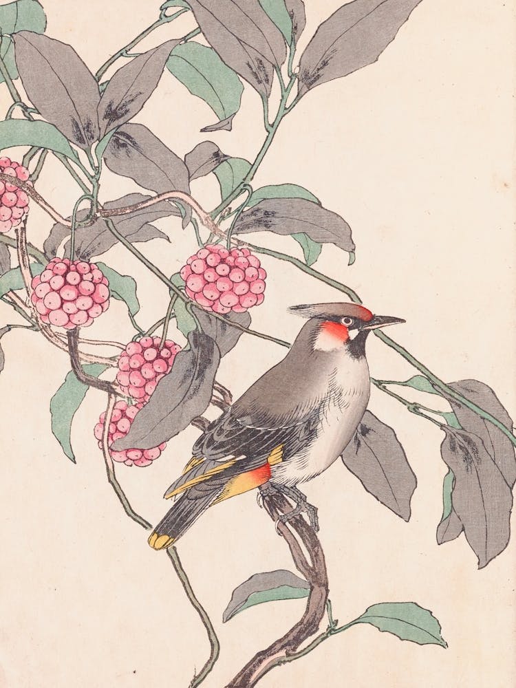 Chinese Bird 1