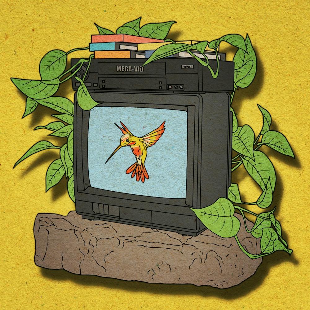 Bird on tv, rock, plant, video, wall art, illustration