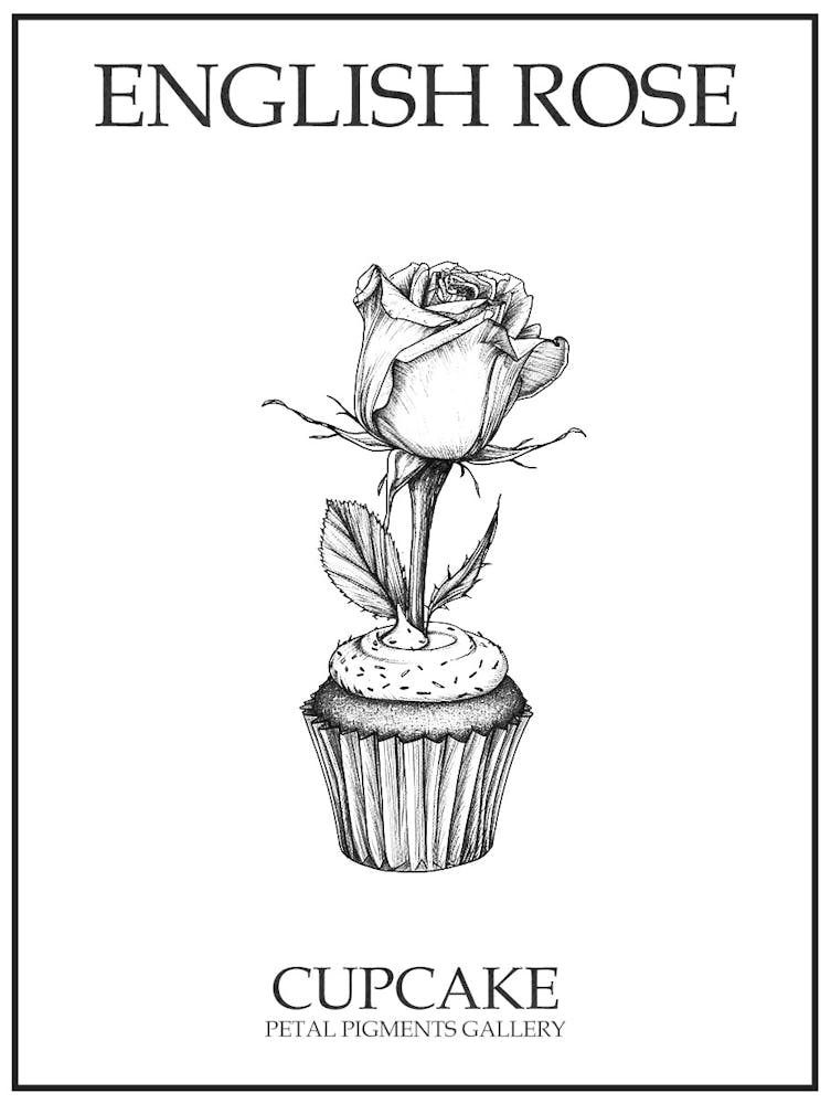 English Rose Cupcake Line Drawing 4 Poster