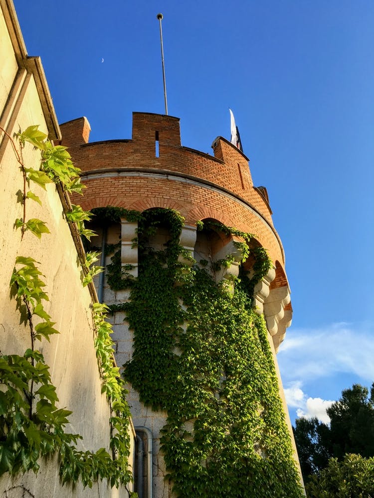 Castle and Vines In Ibiza (Spain Series)