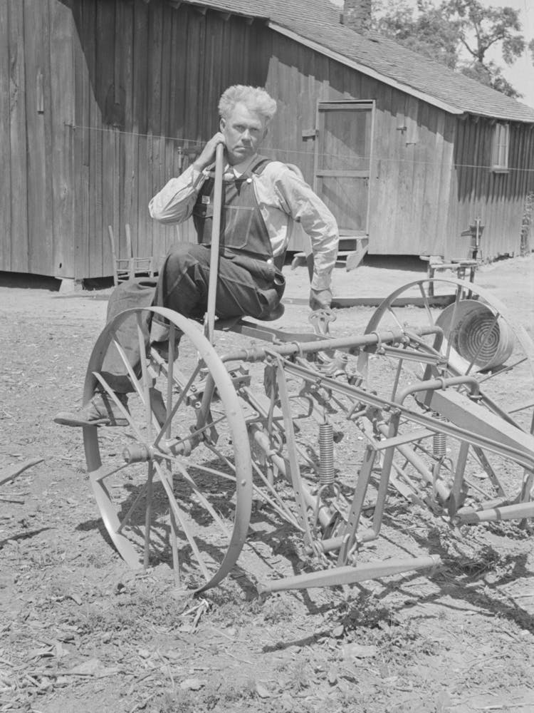Fsa (Farm Security Administration) Client, Former Sharecropper, With Cultivator, Southeast Missouri Farms
