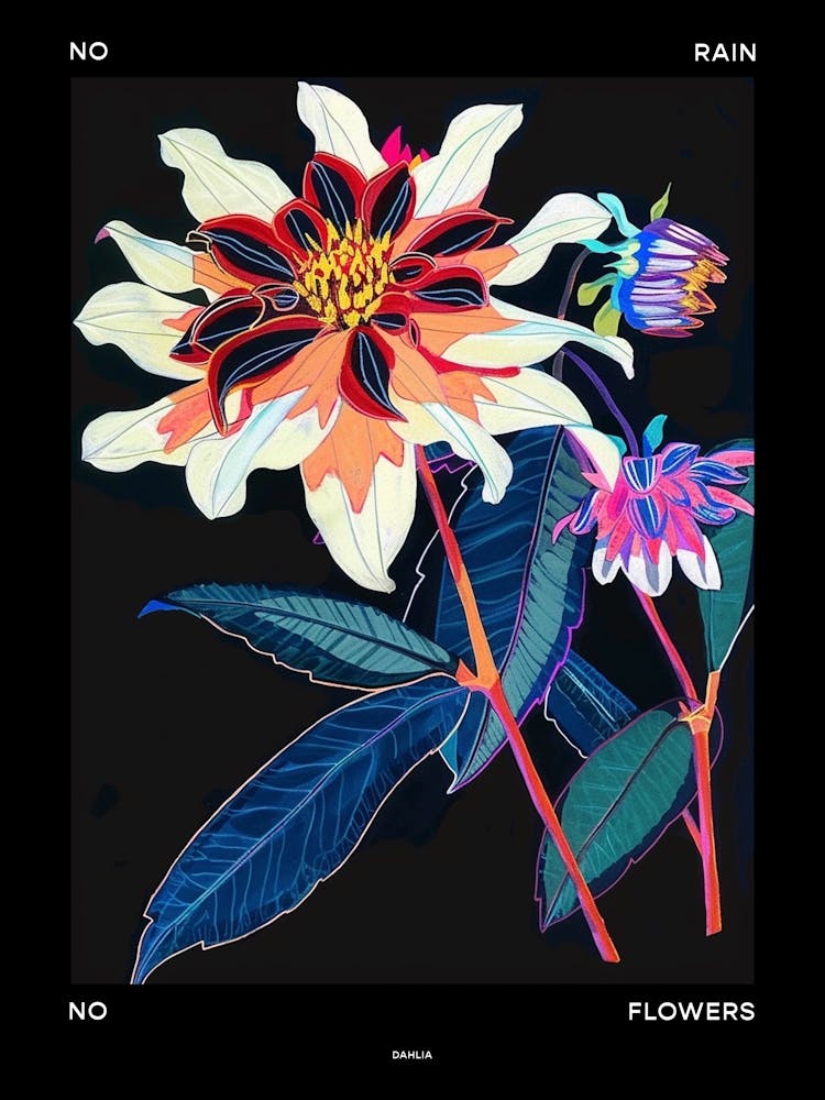 No Rain No Flowers Poster Dahlia 3