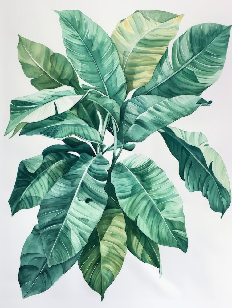 Banana Leaf 1