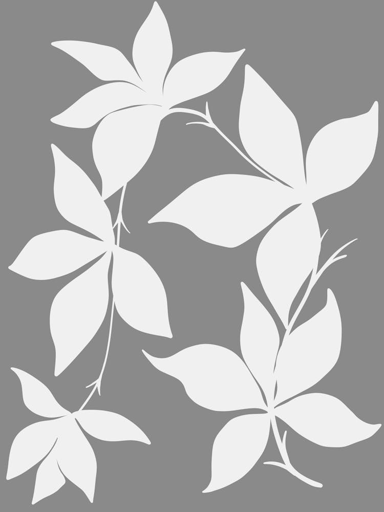 Ivy Leaves
