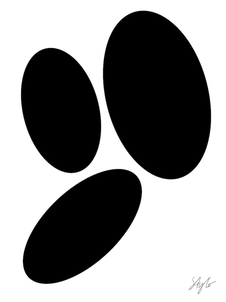 Perfekte Kieselsteine