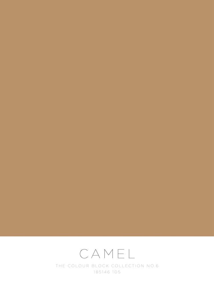 The Colour Block Collection - Camel