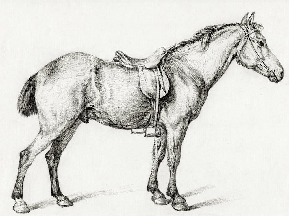 Standing Horse 3, Jean Bernard