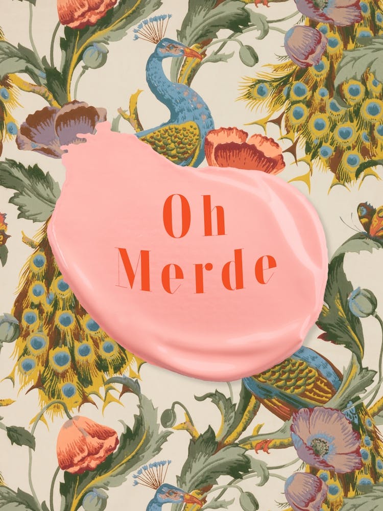 Oh Merde - Paint Drip On The Peacock