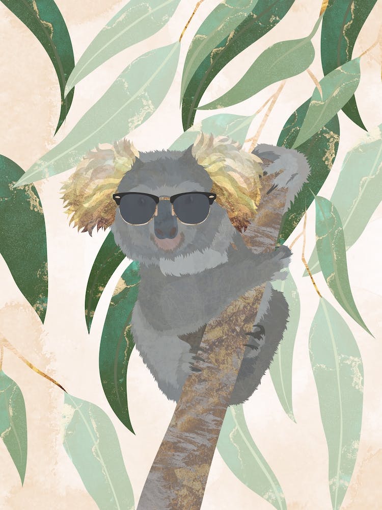 Koala In Sunglasses