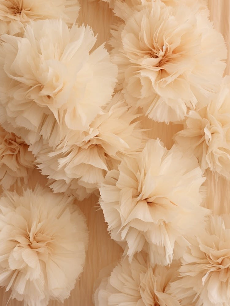 Boho Dried Flowers Carnation 7