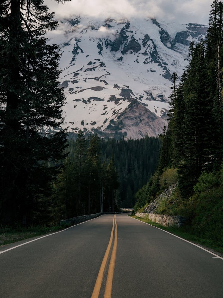 Road to Rainier