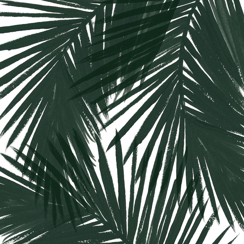 Green Palms Square