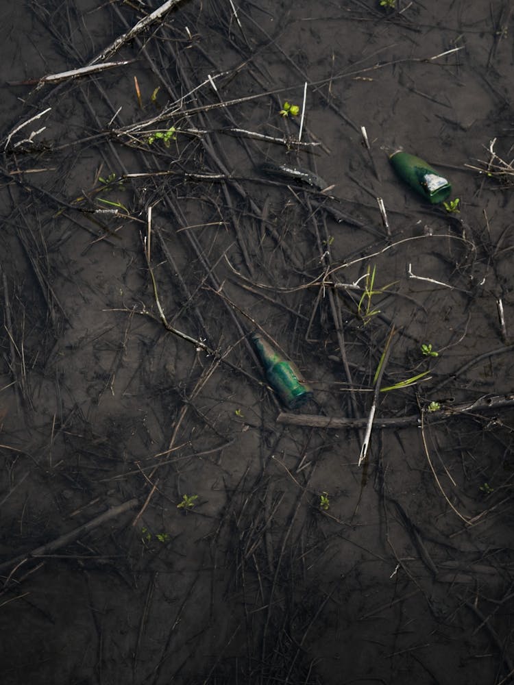 People litter
