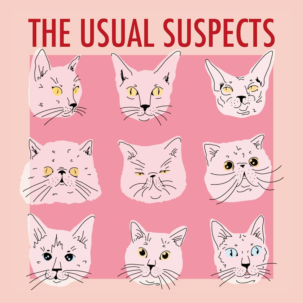 Usual Suspects - Cat Poster 1