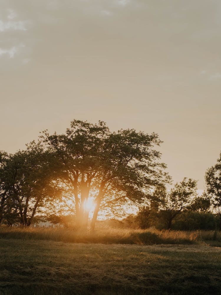 August Rising
