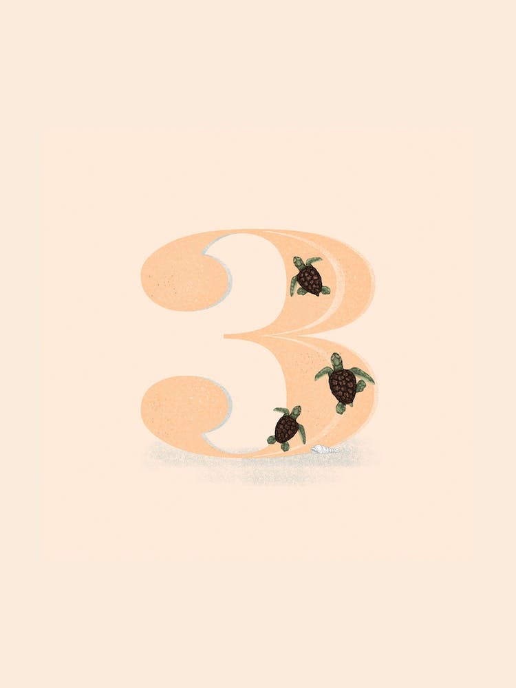Letter 3 Turtles