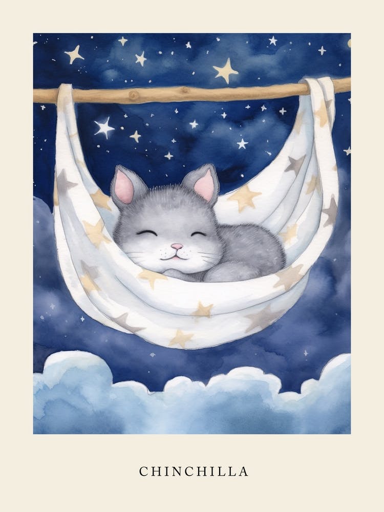 Baby Chinchilla 1 Sleeping In The Clouds Nursery Poster