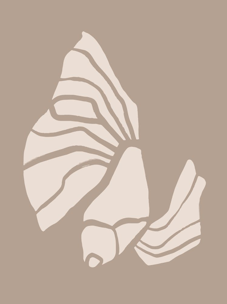 Betta Fish