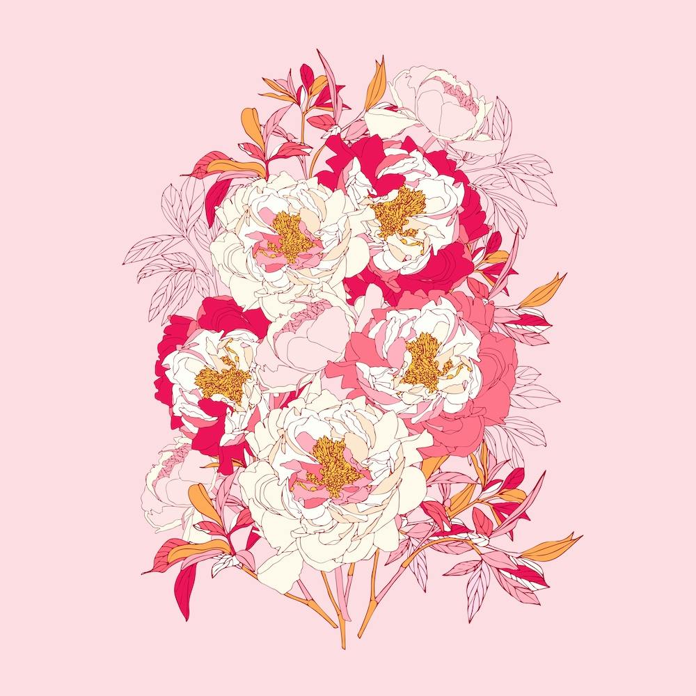 Pink Peonies