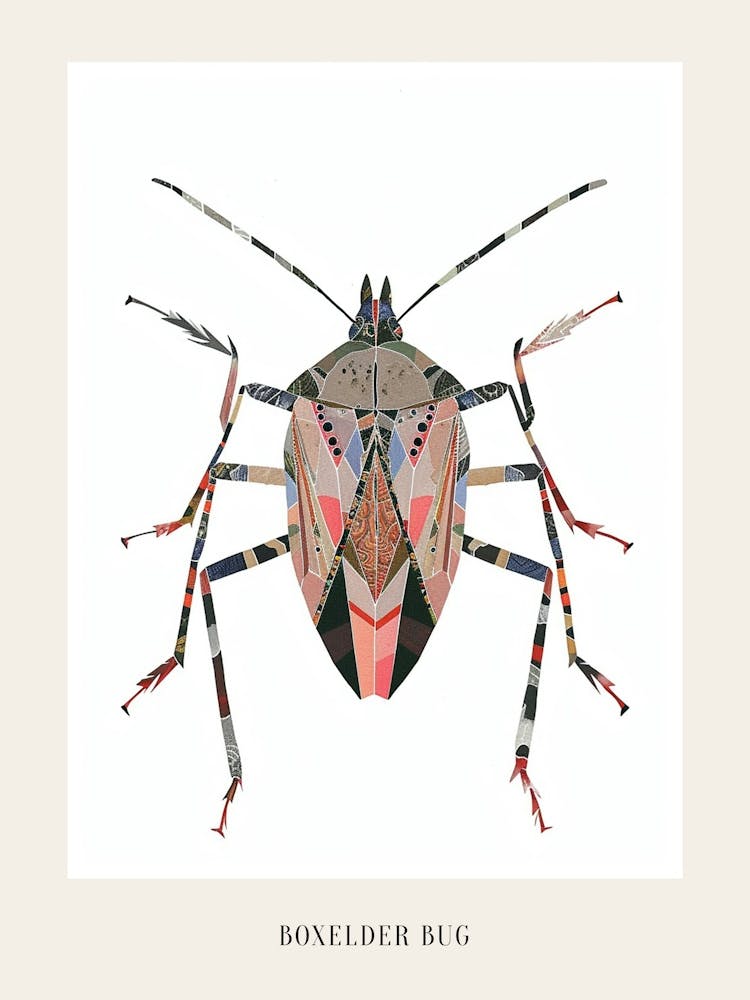 Colourful Insect Illustration Boxelder Bug 14 Poster