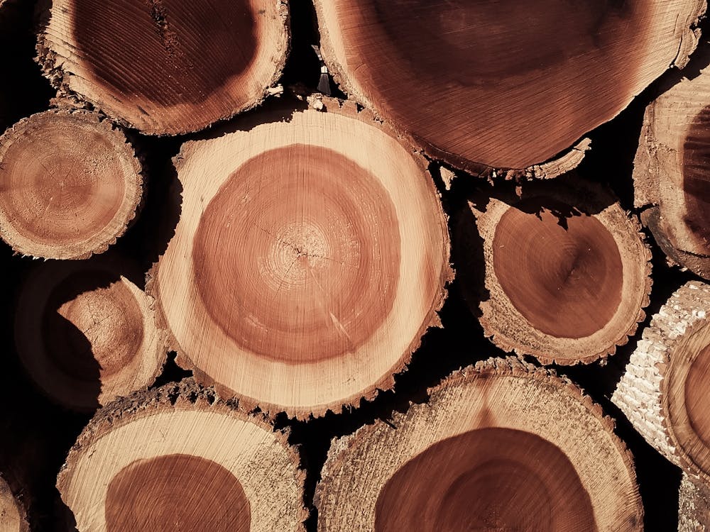 Warm Log Cross Section