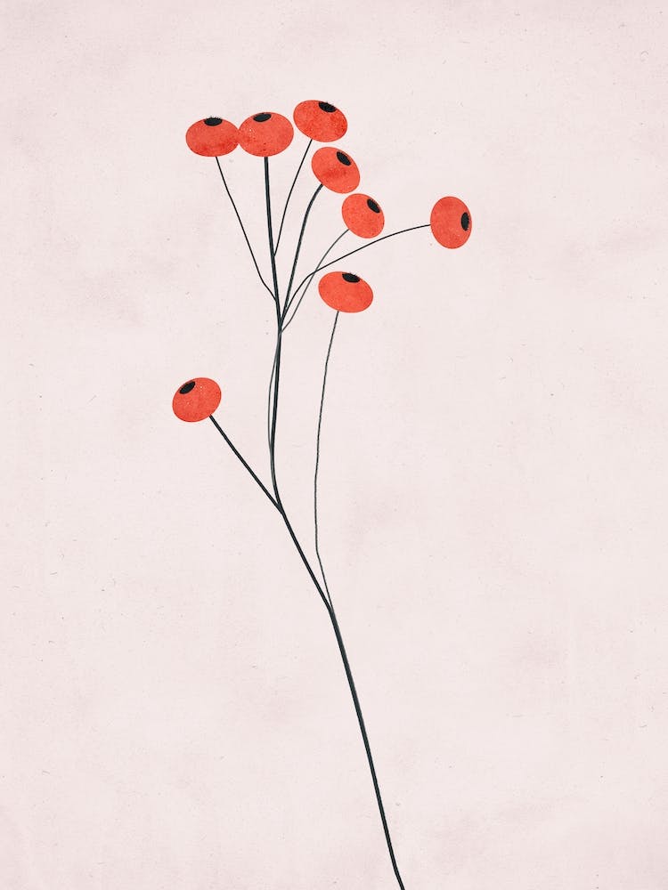 Winter Fruits