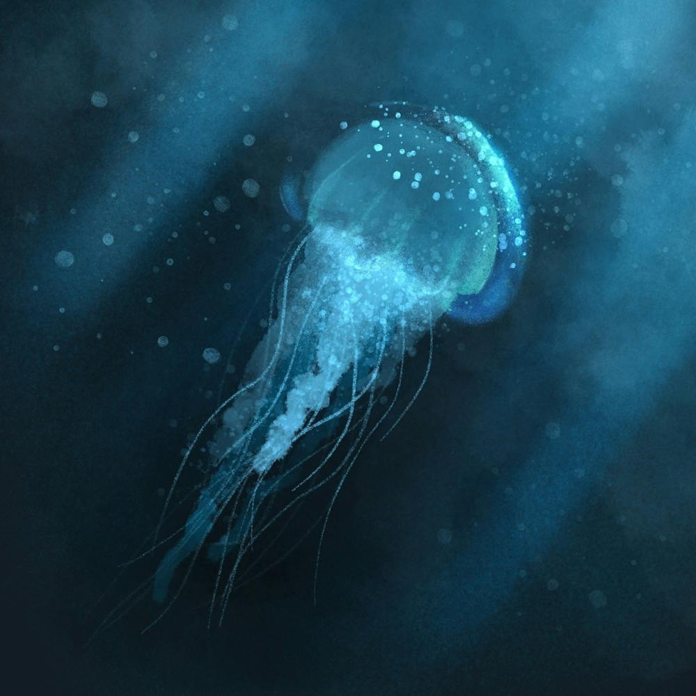Jellyfish dark water