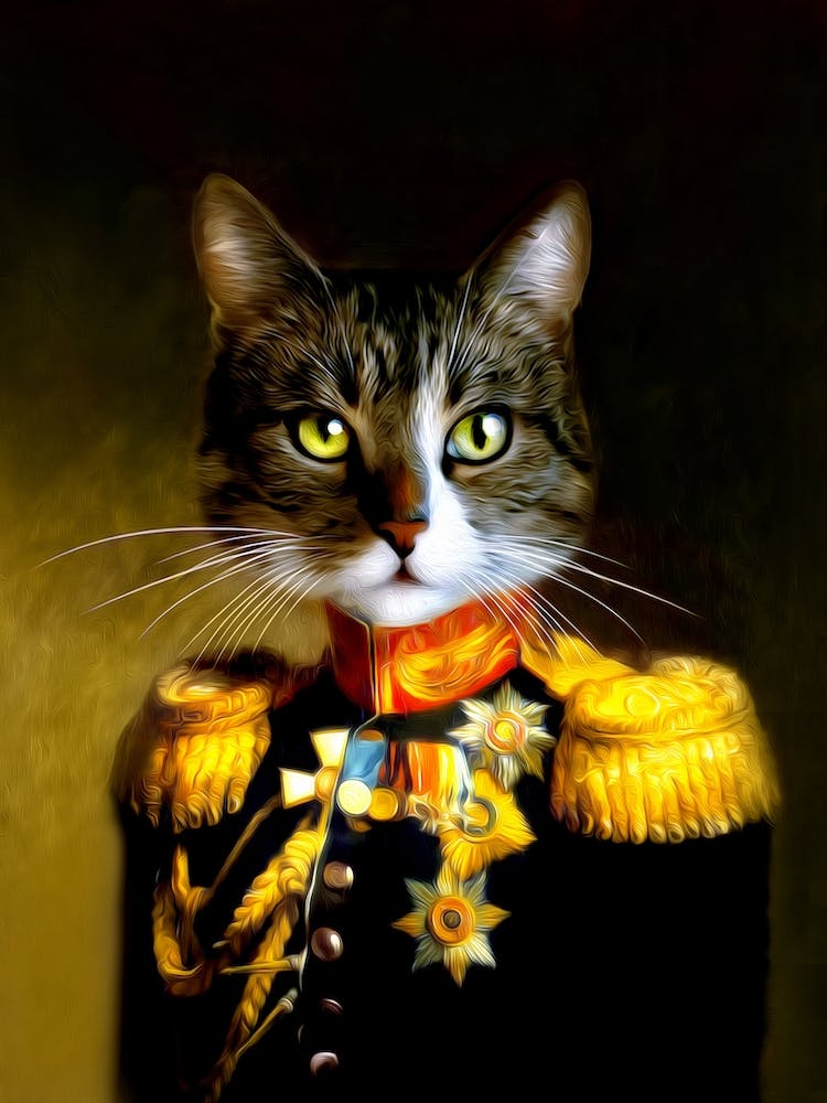 Colonel Anonymous Cat Pet Portraits
