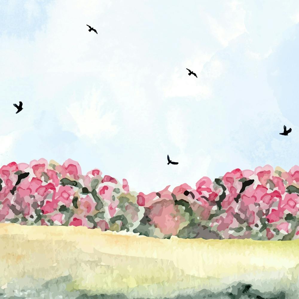 Pink Flowers In The Field