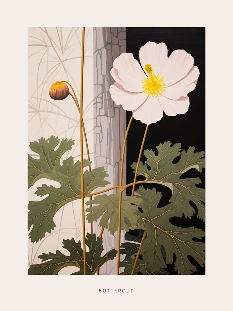 Flower Illustration Buttercup 2 Poster