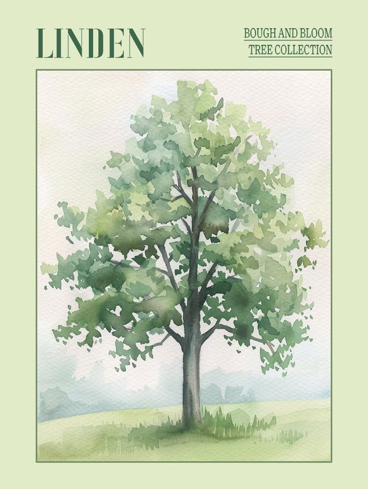 Linden Tree Atmospheric Watercolour Painting 6 Poster