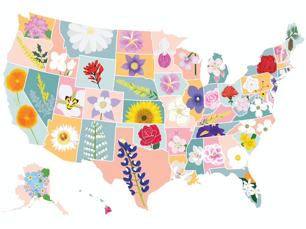Usa Map With Flowers