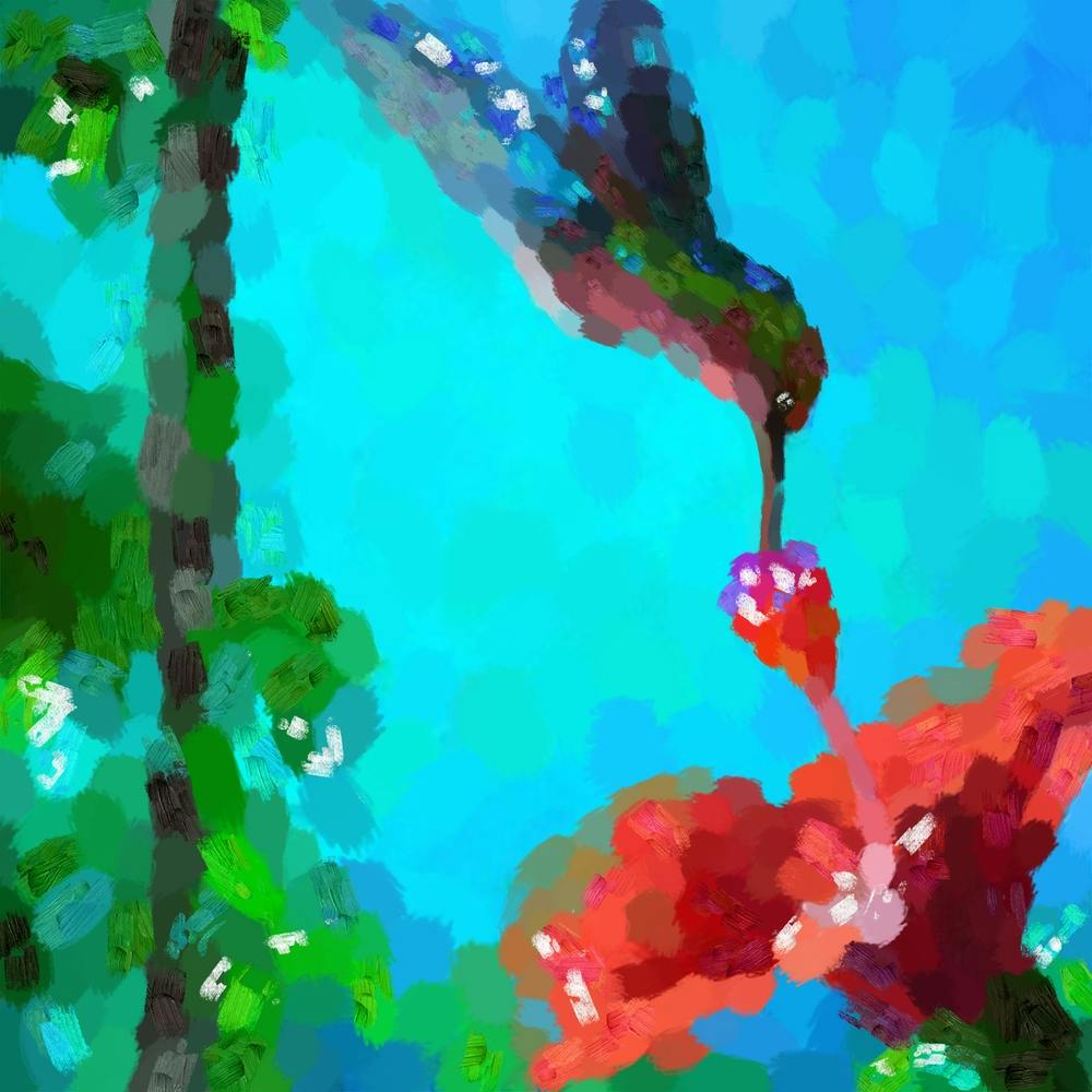 Magic Hummingbird