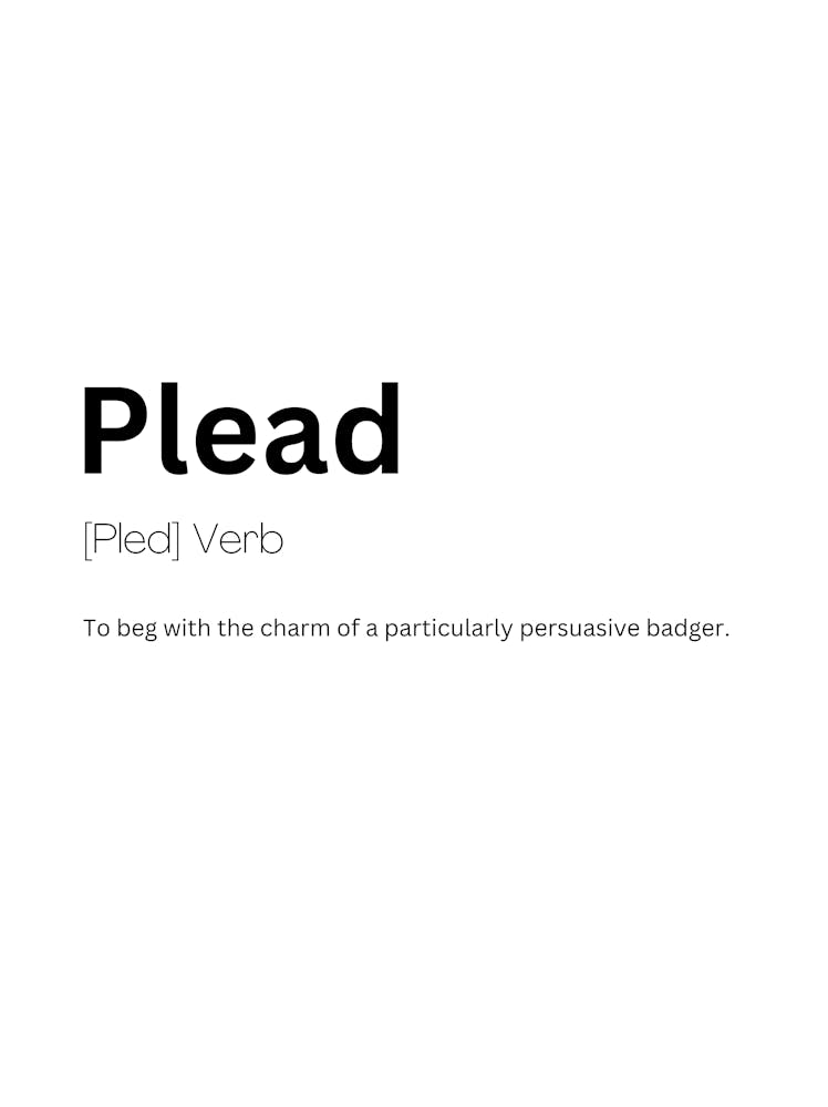 Plead Definition Meaning