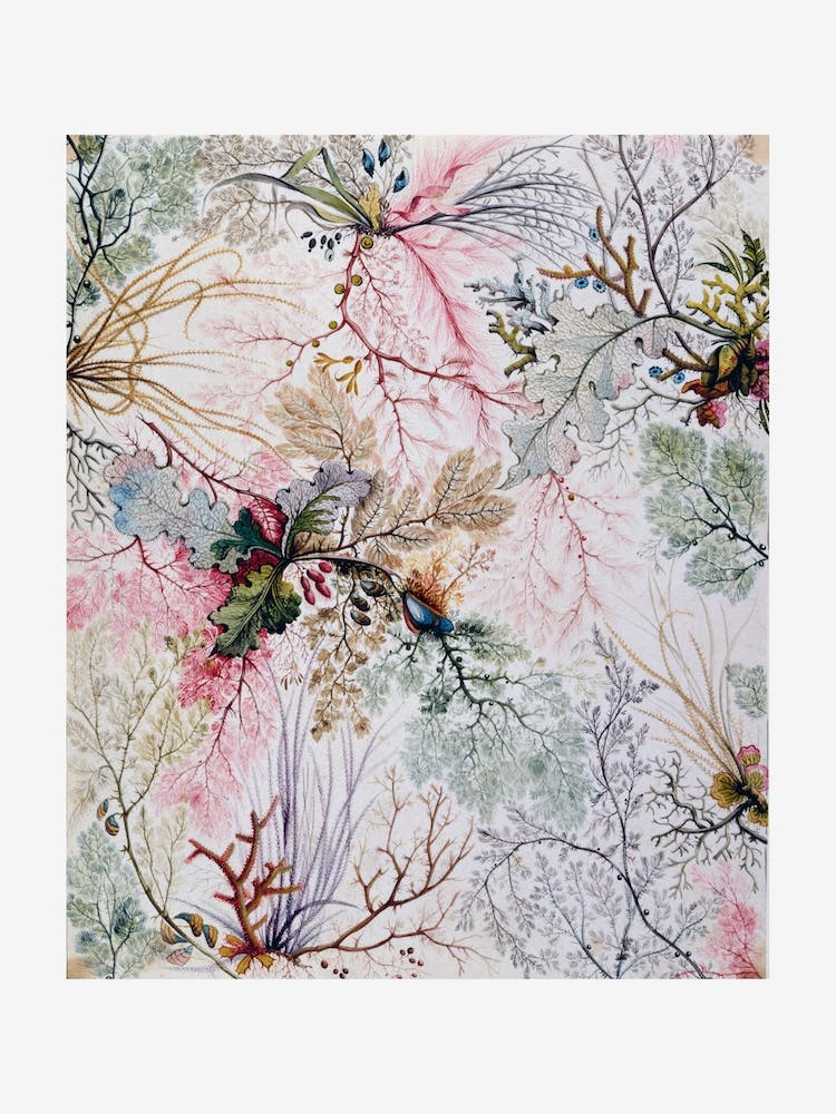 Organic Floral Tendrils