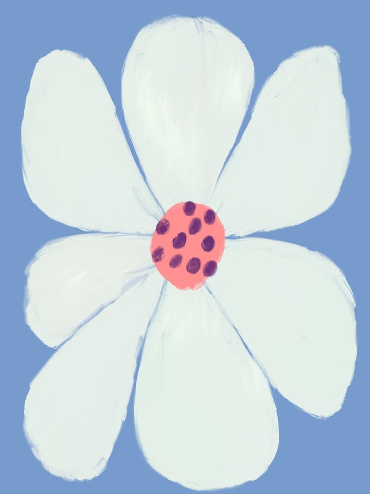 White Flower On Blue Background