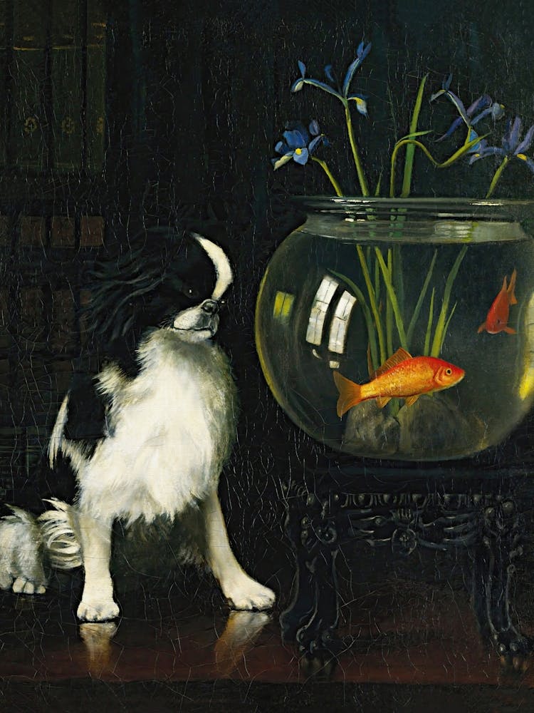 Dog Looking at Goldfish Bowl, Japanese Chin Vintage Dog Art