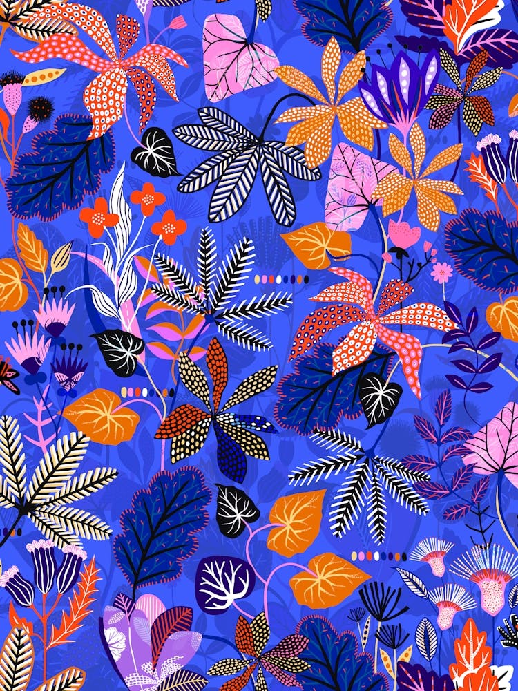 Gardenia - Blue Orange