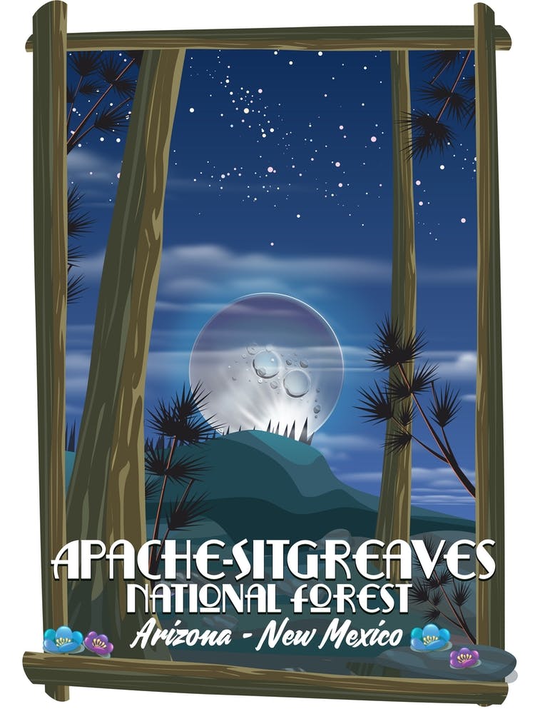 Apache-Sitgreaves National Forest Arizona New Mexico 