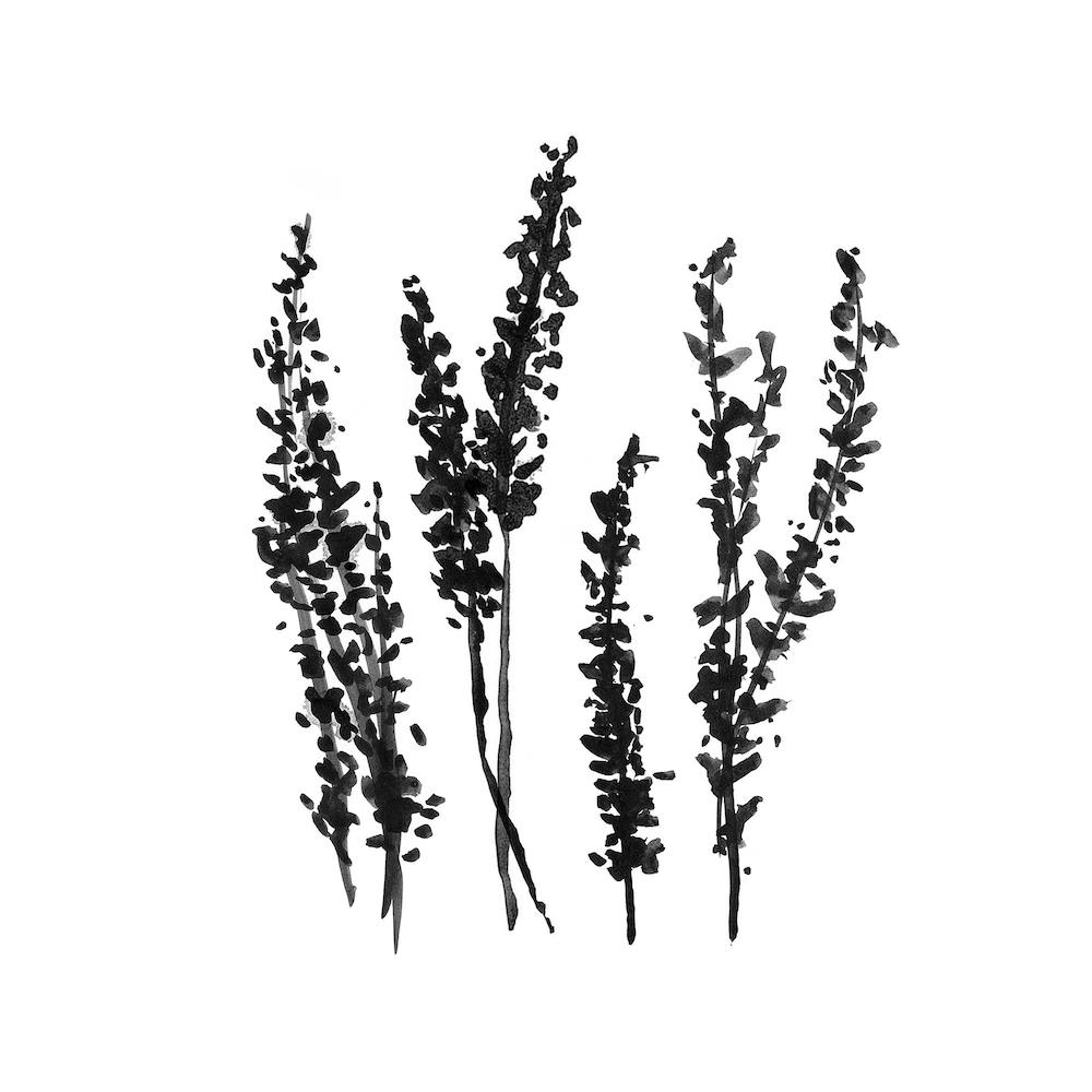 Spring Hyacinths Square