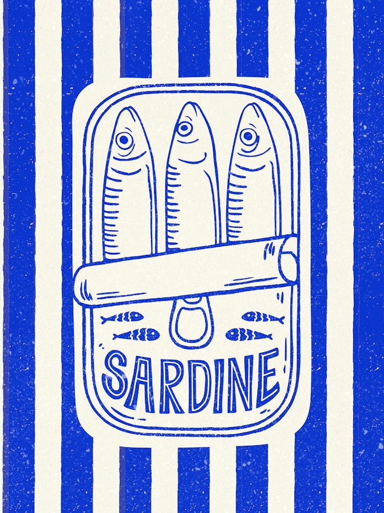 Sardine 4