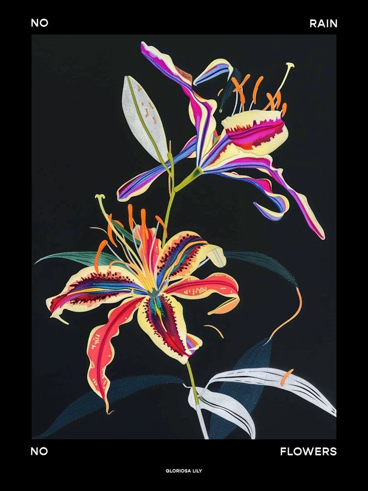 No Rain No Flowers Poster Gloriosa Lily 3