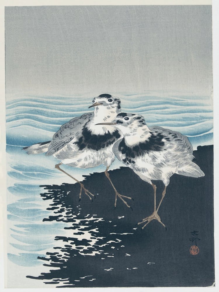 Sandpipers