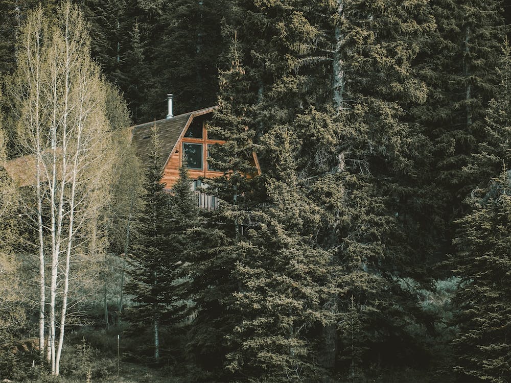 Versteckte Waldhütte