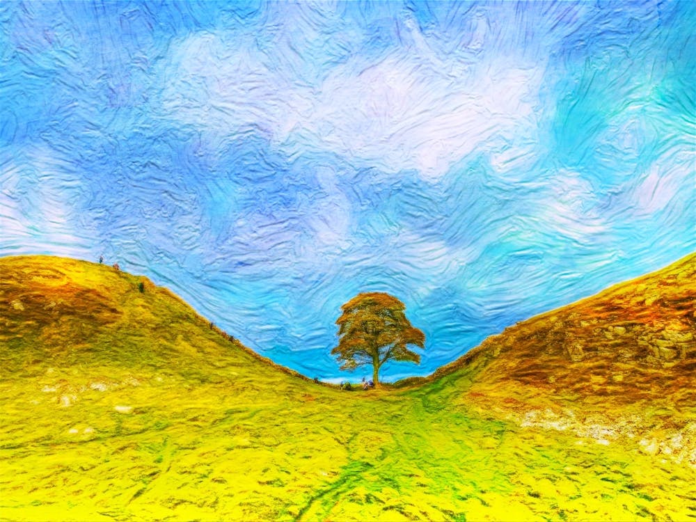 Hadrians Wall Sycamore Gap
