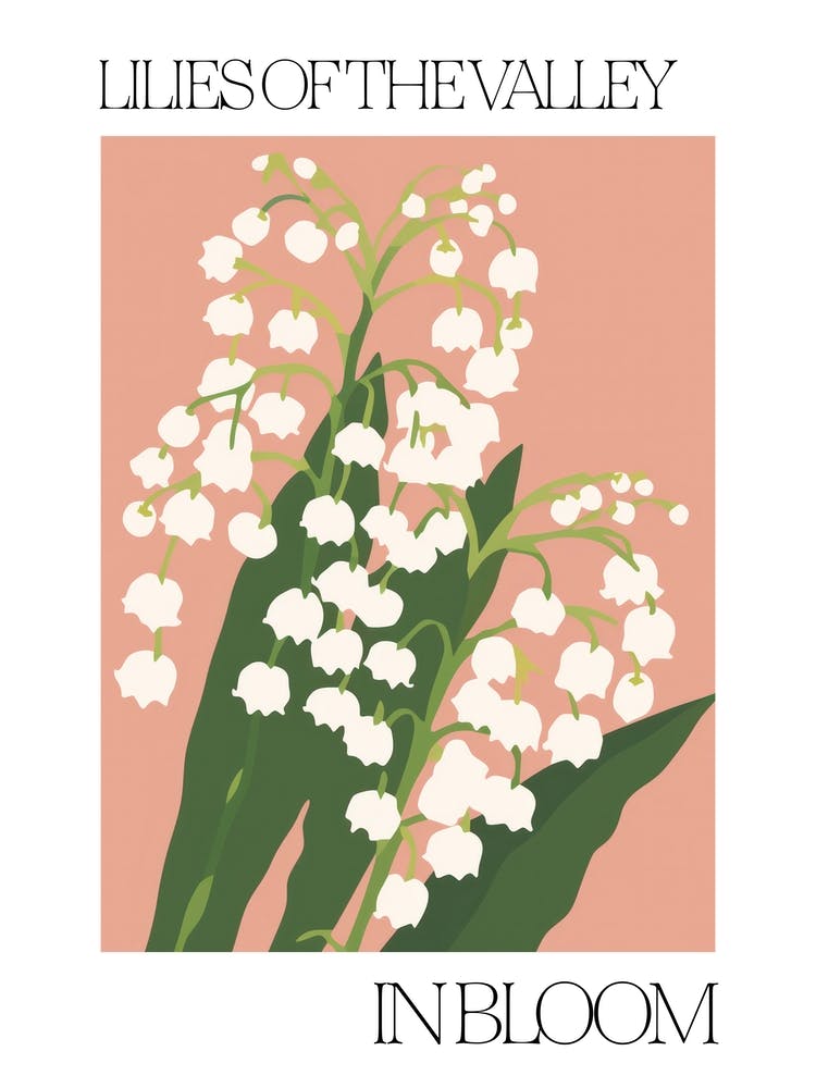 Lilies Of The Valley In Bloom Flowers Bold Illustration 2