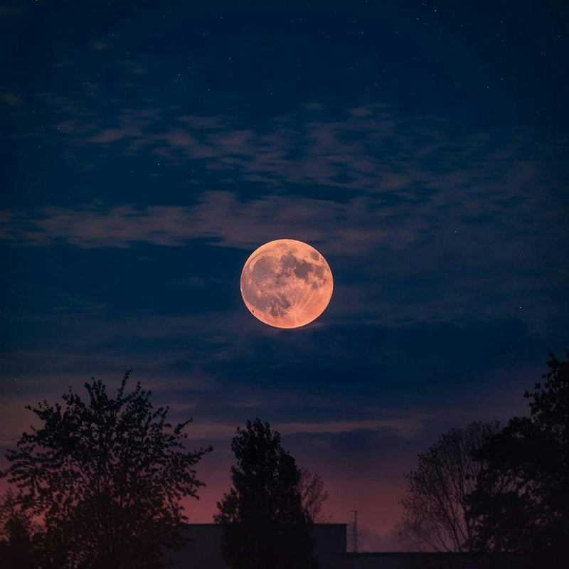 Full Moon
