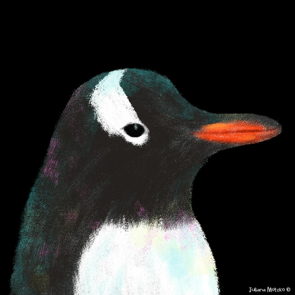 Gentoo Penguin Square