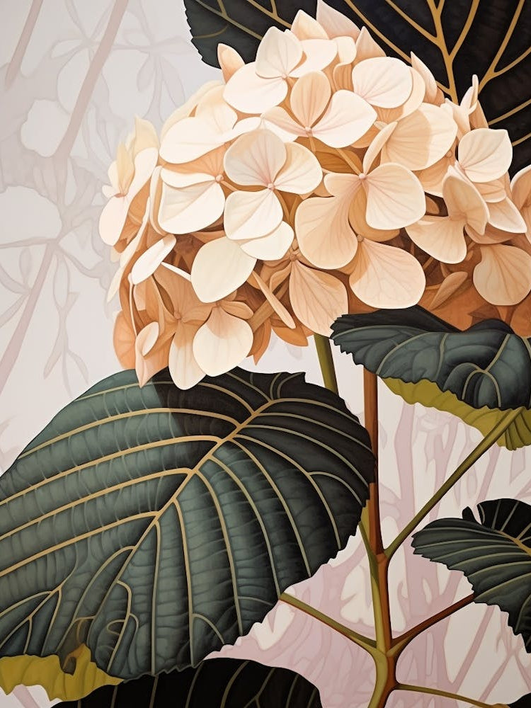Flower Illustration Hydrangea 2
