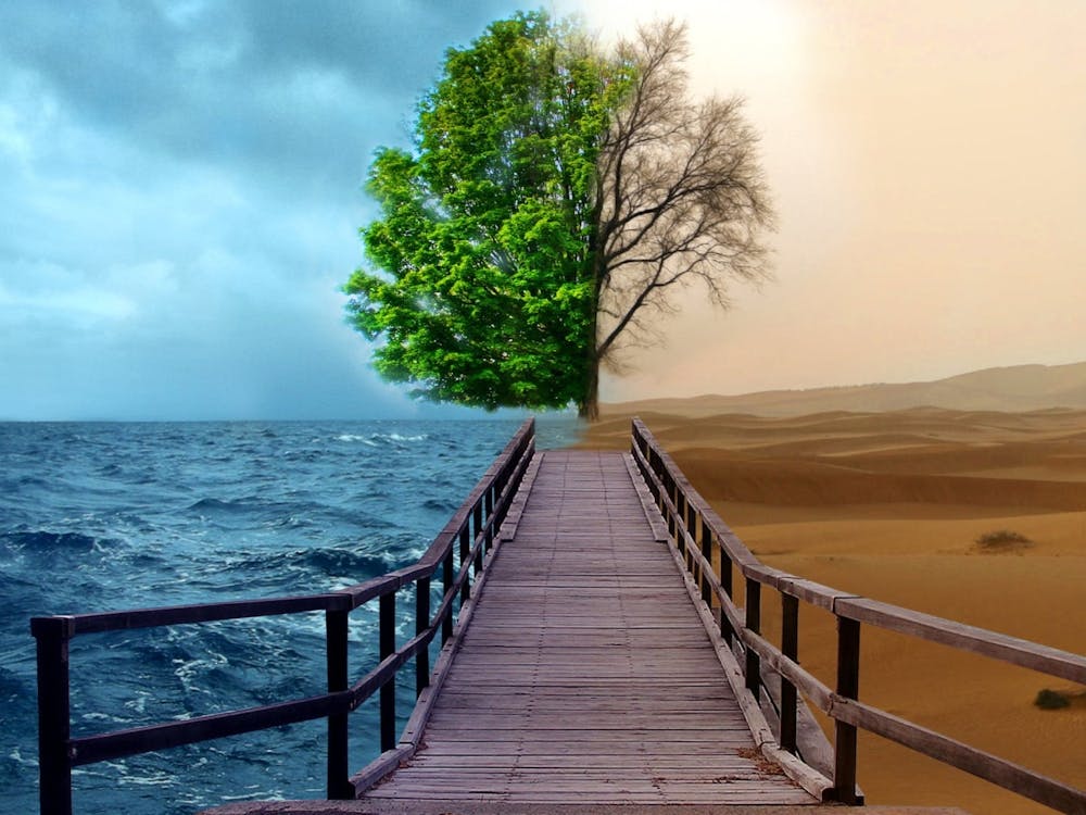 Tree In The Desert